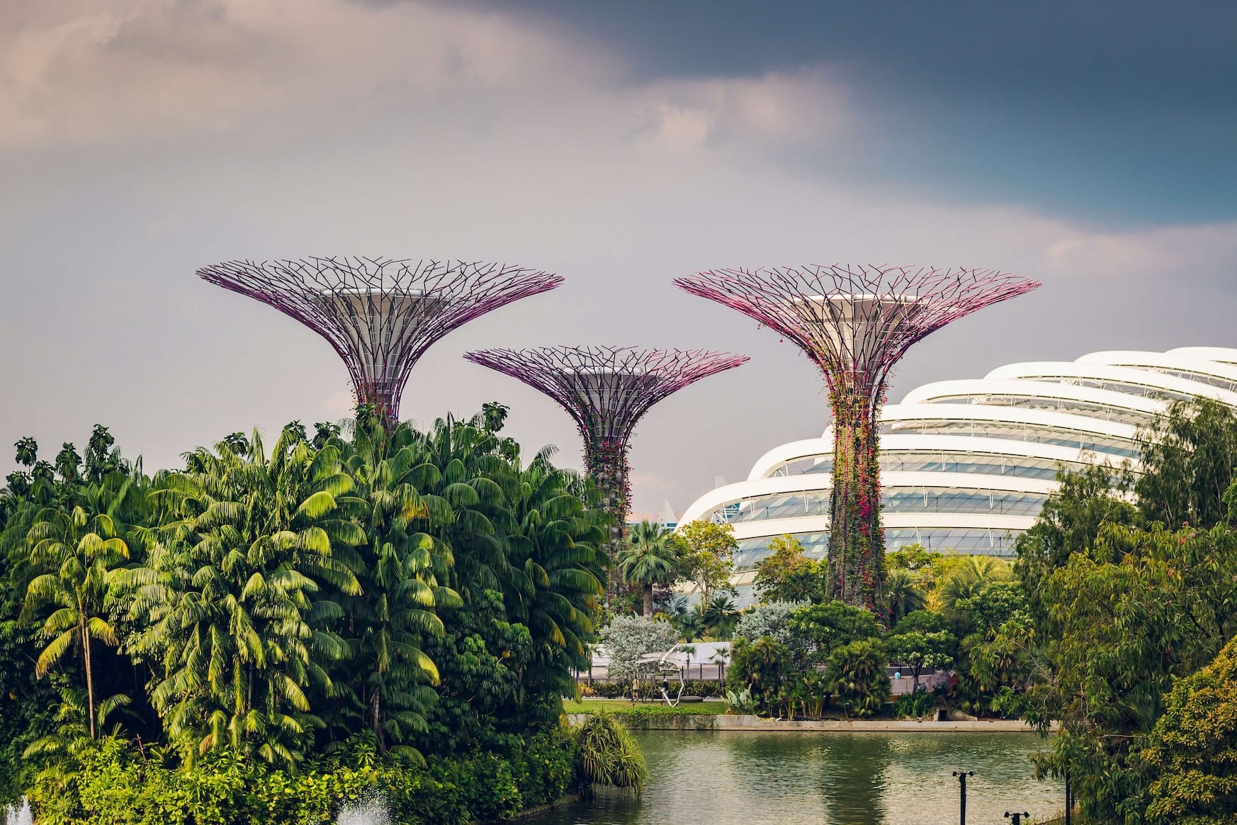 Singapore's Supertrees at Gardens by the Bay, with lush foliage and a domed building.